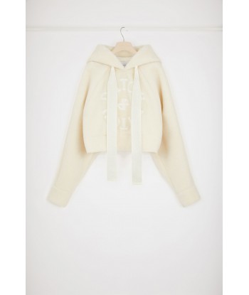 Faux shearling Medallion hoodie in recycled polyester prix