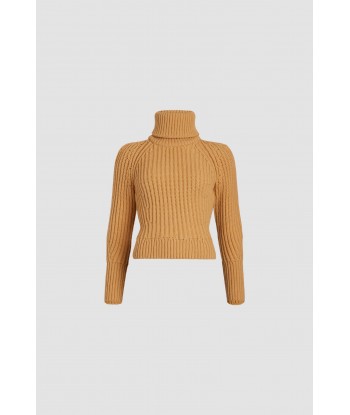 Ribbed turtleneck jumper in sustainable wool and cashmere livraison et retour toujours gratuits