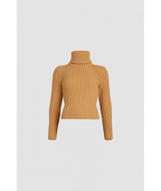 Ribbed turtleneck jumper in sustainable wool and cashmere livraison et retour toujours gratuits