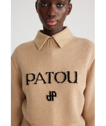 Patou intarsia jumper in sustainable wool and cashmere Les êtres humains sont 