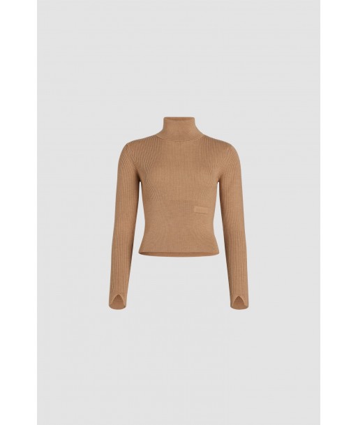 Ribbed turtleneck jumper in sustainable wool and cashmere Comparez plus de prix