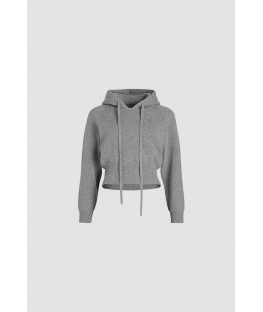 Hoodie in sustainable wool and cashmere blend pas cheres