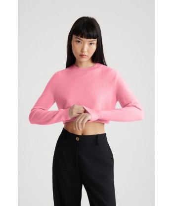 Cropped jumper in sustainable wool and cashmere pas cheres